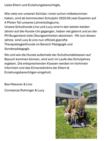 hunde